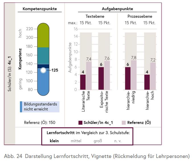 Die Grafik zeigt alle Ergebnisse einer einzelnen Schülerin/eines einzelnen Schülers.