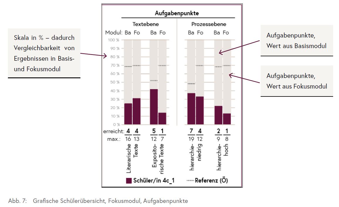 Die Grafik zeigt die Ergebnisse einer Schülerin/eines Schülers nach Durchführung eines Fokusmoduls hinsichtlich der erreichten Aufgabenpunkte.