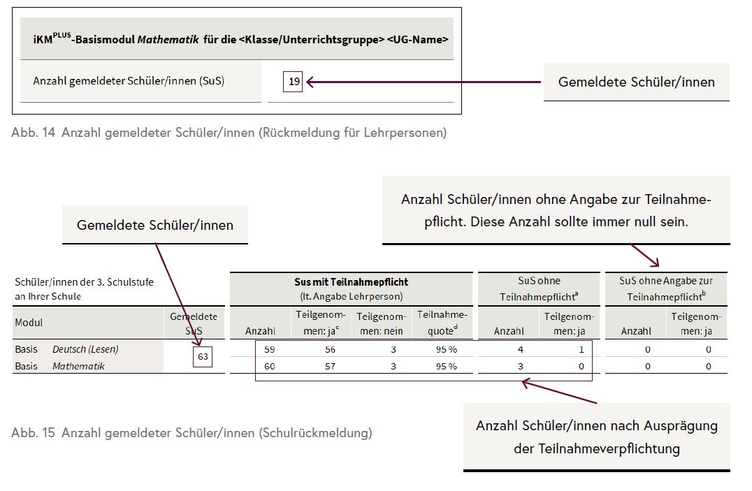 Die Tabelle gibt einen Überblick über die Anzahl der gemeldeten Schüler/innen an der Schule sowie deren Teilnahme an der iKM PLUS.